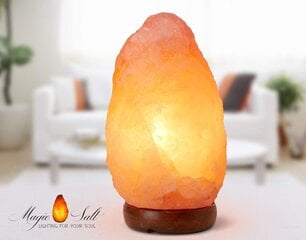 Pakistani soolalamp Magic Salt Lighting For Your Soul цена и информация | Настольные лампы | kaup24.ee