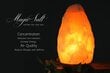 Pakistani soolalamp Magic Salt Lighting For Your Soul цена и информация | Laualambid | kaup24.ee