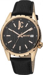 Мужские часы Just Cavalli JC1G217L0035 цена и информация | Женские часы | kaup24.ee
