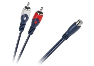 1 x RCA Cablet цена и информация | Аксессуары для Smart TV | kaup24.ee