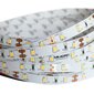 led ribad , 2,5 w/0,5 m цена и информация | LED ribad | kaup24.ee