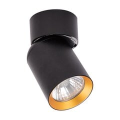 потолочный светильник 1xgu10, черный цена и информация | Потолочные светильники | kaup24.ee