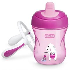 Chicco tass, 6+ kuud, 200 ml цена и информация | Бутылочки и аксессуары | kaup24.ee