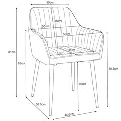 2 tooli Akord SJ.040, hall, komplekt Akord SJ.040 цена и информация | Стулья для кухни и столовой | kaup24.ee