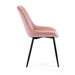 2 tooli Akord SJ.0488, roosa, komplekt Akord SJ.0488 hind ja info | Söögitoolid, baaritoolid | kaup24.ee