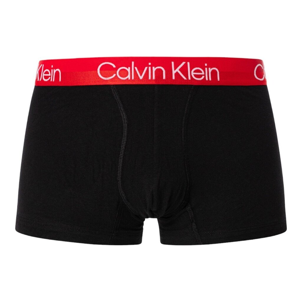 Calvin Klein aluspüksid meestele 84794, 3 tk цена и информация | Meeste aluspesu | kaup24.ee