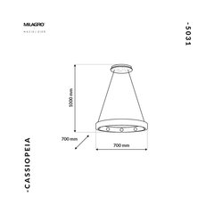 подвесной светильник cassiopeia цена и информация | Люстры | kaup24.ee