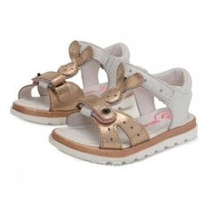 D.D.Step sandaalid tüdrukutele, kuld цена и информация | Детские сандалии | kaup24.ee