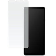 OnePlus Nord 3 5G - защитная пленка цена и информация | Защитные пленки для телефонов | kaup24.ee