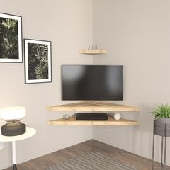 TV alus Asir, 120x5x49 cm, pruun цена и информация | Тумбы под телевизор | kaup24.ee