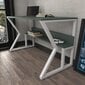 Laud Asir, 120x72,8x60 cm, roheline/valge hind ja info | Arvutilauad, kirjutuslauad | kaup24.ee