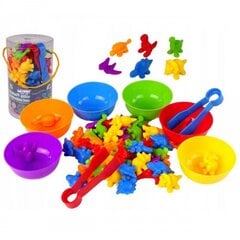 Värvide sorteerimise mäng Dinosaurs Woopie, 56 eset цена и информация | Игрушки для малышей | kaup24.ee