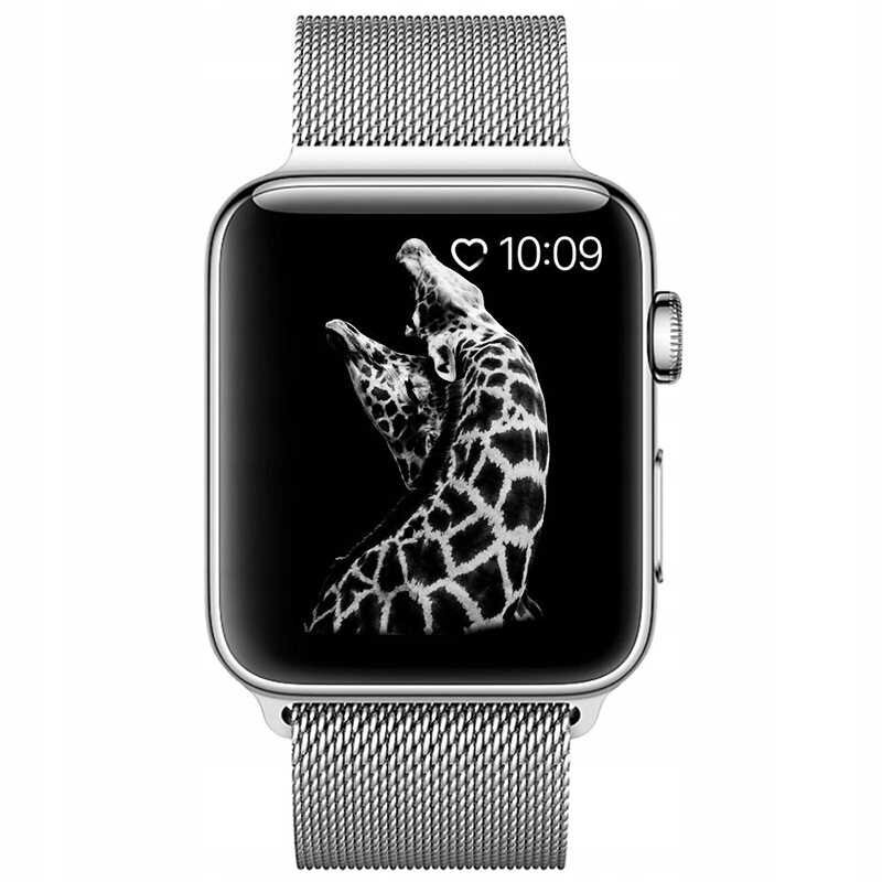 Spacecase Apple Watch 42/44/45 hind ja info | Nutikellade ja nutivõrude tarvikud | kaup24.ee