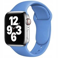 Spacecase Apple Watch 42/44/45 цена и информация | Аксессуары для смарт-часов и браслетов | kaup24.ee