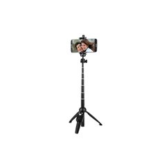 Yunteng 9928 цена и информация | Моноподы для селфи («Selfie sticks») | kaup24.ee