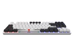 Dark Project One 87 Fuji, G3MS Sapphire Switch, US цена и информация | Клавиатура с игровой мышью 3GO COMBODRILEW2 USB ES | kaup24.ee