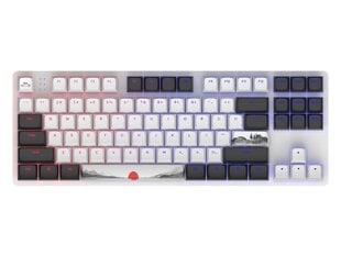 Dark Project One 87 Fuji, G3MS Sapphire Switch, US цена и информация | Клавиатура с игровой мышью 3GO COMBODRILEW2 USB ES | kaup24.ee