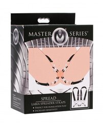 Klambritega rihmad Master Series Spread Labia, must hind ja info | BDSM ja fetish | kaup24.ee