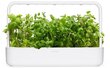 Piparmündi komplekt Click & Grow Smart GArden, 3 tk hind ja info | Nutipotid ja taimelambid | kaup24.ee