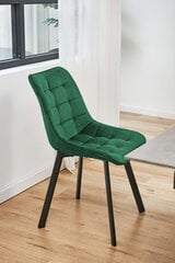 2 tooli Akord SJ.28, roheline, komplekt Akord SJ.28 hind ja info | Söögilaua toolid, köögitoolid | kaup24.ee