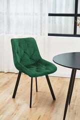 комплект из 2 стульев Akord SJ.33, зеленый цена и информация | Стулья для кухни и столовой | kaup24.ee