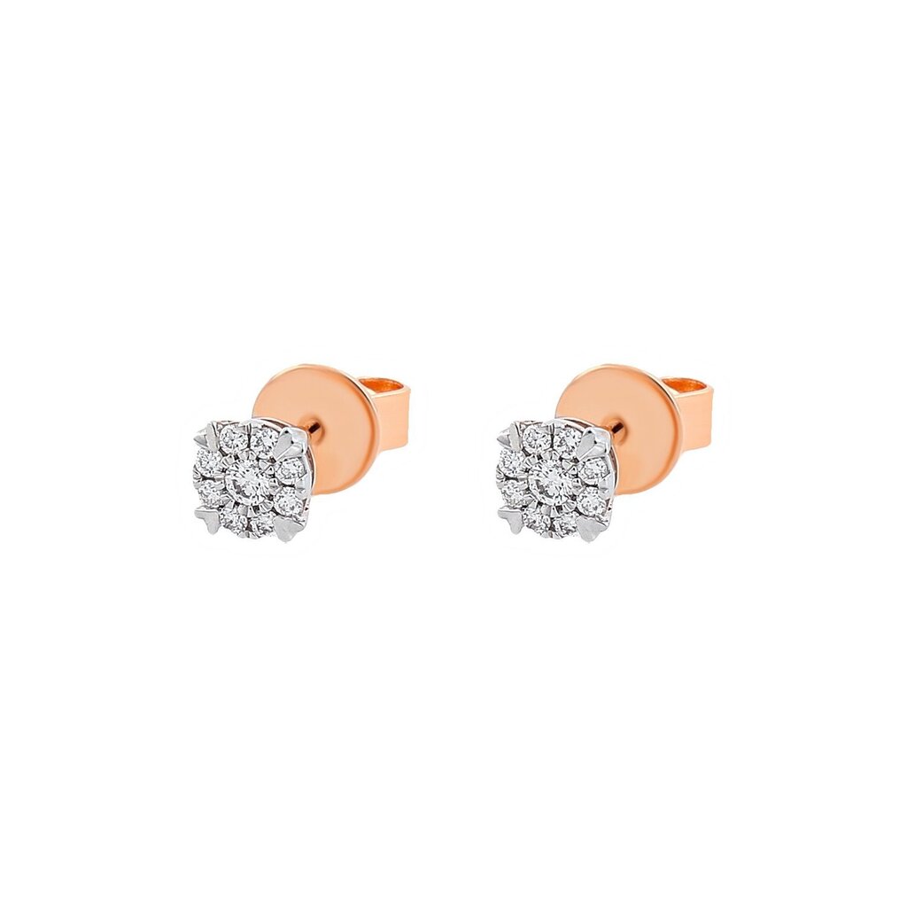 Kuldsed teemantidega kõrvarõngad naistele цена и информация | Kõrvarõngad | kaup24.ee