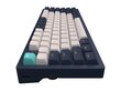 Klaviatuur Dark Project KD83A Ivory / Navy Blue - RGB ANSI (ENG) hind ja info | Klaviatuurid | kaup24.ee