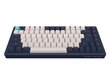 Klaviatuur Dark Project KD83A Ivory / Navy Blue - RGB ANSI (ENG) цена и информация | Klaviatuurid | kaup24.ee