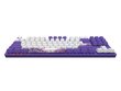Klaviatuur Dark Project One - 87 Violet Horizons RGB ANSI (ENG/UA) цена и информация | Klaviatuurid | kaup24.ee