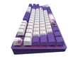 Klaviatuur Dark Project One - 87 Violet Horizons RGB ANSI (ENG/UA) hind ja info | Klaviatuurid | kaup24.ee