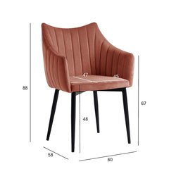 Комплект из 2 стульев BRETA, розовый цена и информация | Стулья для кухни и столовой | kaup24.ee
