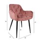 Tool Brita, roosa, 2 tk цена и информация | Söögilaua toolid, köögitoolid | kaup24.ee