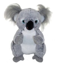 Plüüsist mänguasi Koala, 25 cm hind ja info | Pehmed mänguasjad | kaup24.ee