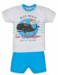 костюм кита 68 см, синий цена и информация | Комплекты для мальчиков | kaup24.ee