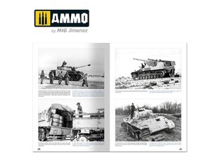 Ammo Mig - How to Paint Winter WWII German Tanks Multilingüal (Eng - Spa), 6039 цена и информация | Энциклопедии, справочники | kaup24.ee