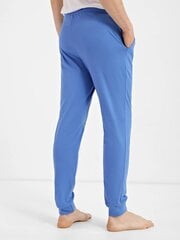 Мужские штаны, голубые  цена и информация | Мужские брюки | kaup24.ee