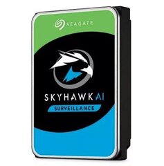 Seagate SkyHawk ST24000VE002 цена и информация | Внутренние жёсткие диски (HDD, SSD, Hybrid) | kaup24.ee