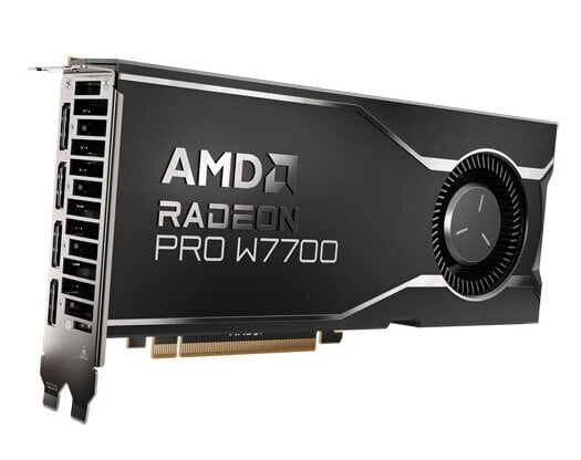 AMD Radeon Pro W7700 (100-300000006) hind ja info | Videokaardid (GPU) | kaup24.ee
