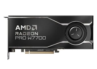 AMD Radeon Pro W7700 (100-300000006) hind ja info | Videokaardid (GPU) | kaup24.ee