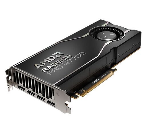 AMD Radeon Pro W7700 (100-300000006) hind ja info | Videokaardid (GPU) | kaup24.ee