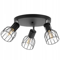 Подвесной потолочный светильник Ledlux цена и информация | Потолочные светильники | kaup24.ee