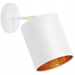 Настенный светильник Led-lux цена и информация | Настенный светильник Конусы | kaup24.ee