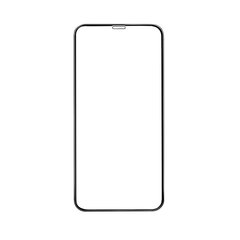 Borofone BF3 iPhone XR/11 hind ja info | Ekraani kaitsekiled | kaup24.ee