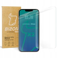 Kaitseklaas Bizon Glass Hydrogel iPhone 14 / 13 / 13 Pro, 2 tk. hind ja info | Ekraani kaitsekiled | kaup24.ee