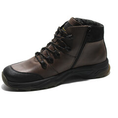 Мужские кожаные ботинки Krisbut 250349, коричневый цена и информация | Мужские ботинки | kaup24.ee