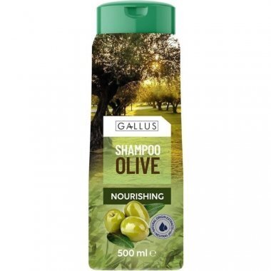 Šampoon Gallus Olive, oliiv, 500 ml hind ja info | Šampoonid | kaup24.ee