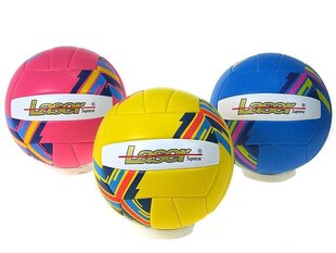 волейбольный мяч, 1 шт. цена и информация | Волейбольные мячи | kaup24.ee