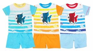 костюм с рыбкой 62 см, синий цена и информация | Комплекты одежды для новорожденных | kaup24.ee
