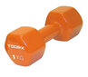 Hantlid Toorx Fitness Vinyl Dumbbell, 1 kg hind ja info | Hantlid, kangid, raskused | kaup24.ee