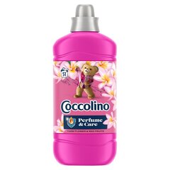 Coccolino skalbinių minkštiklis, 1275 ml цена и информация | Средства для стирки | kaup24.ee